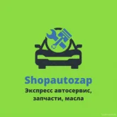 shopautozap фотография 5